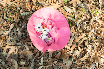 High angle view of little girl's pink sunhat filled with white daisies on the ground in afternoon sun