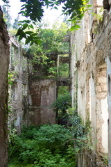 Destroyed by war,overgrown by trees and ivy ruins of apartment house in Tquarchal