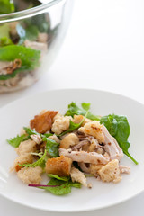 roast chicken and bread salad in a plate