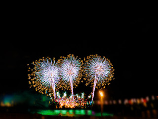 Colorful fireworks with multiple bursts against dark sky