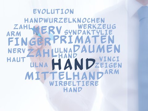 Hand