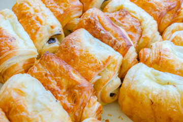 Tasty croissants with white background