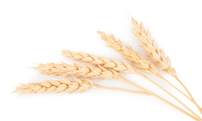 Ears of wheat