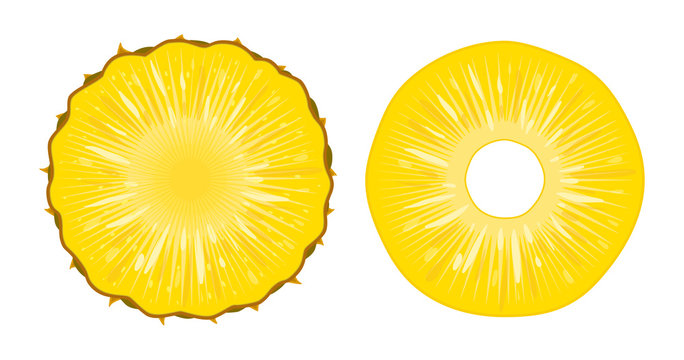 Pineapple Slice Vector Images – Browse 18,356 Stock Photos, Vectors, and  Video | Adobe Stock