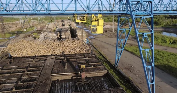 Industrial logging in summer