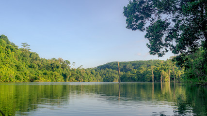 beautiful lake surrounded by dense rain forest