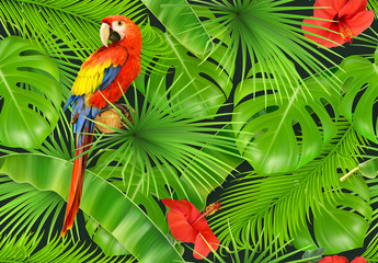Fototapety  Liście dżungli i papuga, wzór. 3d wektor realistyczne tło