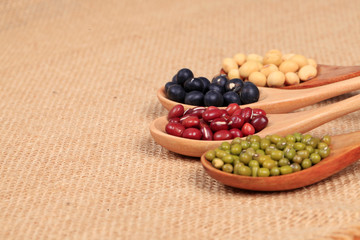 collection of legumes