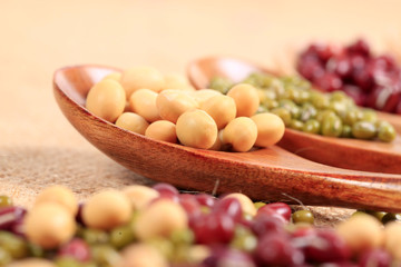 collection of legumes