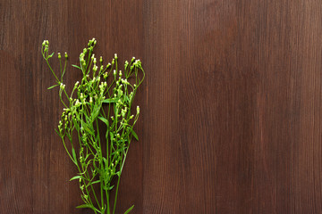 Small white wild flowers on brown wooden background