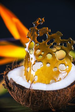 Cannabis shatter (marijuana oil concentrate) over coconut half with tropical flower int he background