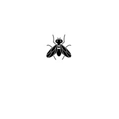 Graphics silhouette fly icon