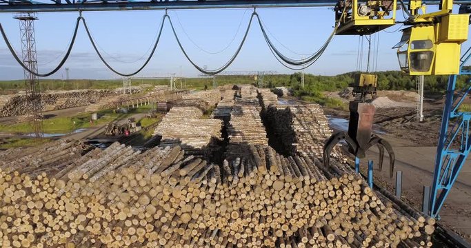 Industrial deforestation