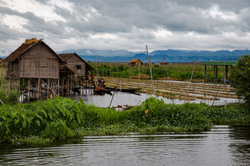 Inle Lake, Myanmar, vegetable garden, floating, house on water