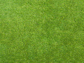 Fototapeta na wymiar Texture green grass. Background of green turf grass. Texture coating of a football field. Green lawn