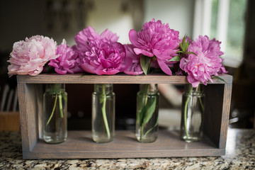 Kitchen flowers