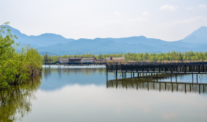 Fototapeta na wymiar Lijiang Lashi Lake Wetlands is a national natural scenic spot near the city of Lijiang,China. The tourist activities there include horse riding, bird watching, boat ride and fishing. 
