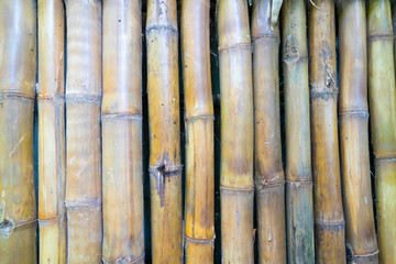 Dried bamboo texture and background