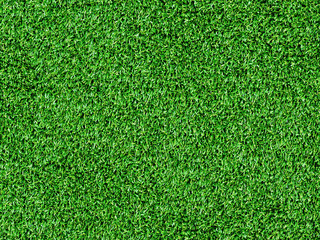 Fototapeta premium Texture green grass. Background of green turf grass. Texture coating of a football field. Green lawn