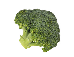 Cabbage broccoli on a white background isolated
