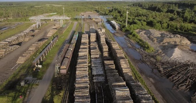 Industrial logging in summer
