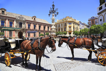 Fototapeta na wymiar Seville Plaza with carriages and horses on the foreground, Spain