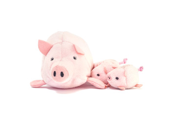 Closeup cute pink pig doll with little pig isolated on white background