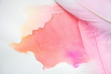 Abstract colorful watercolor on white paper with feathers