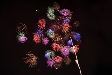 板橋花火大会　2016