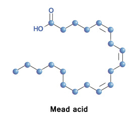 Mead acid molecule