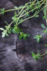 Thymus sprouts closeup