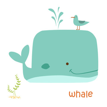 animals set - whale