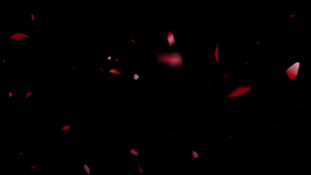 The destruction of the rose by particles and pieces. 3D rendering.