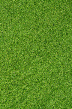Artificial grass for background1
