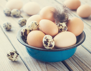 Eggs from chicken and quail farm in a metal bowl