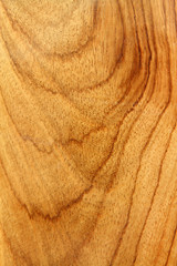 Detail of wood texture background