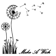 Hand drawn greeting card dandelion flower blow with the wind; vector illustration; graphic art. Make a wish concept.