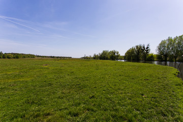 green grass with a river on background