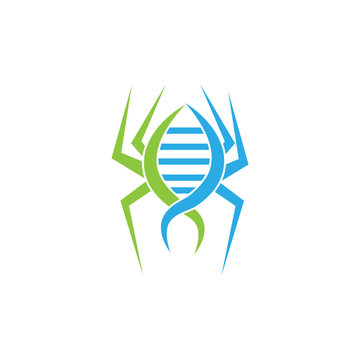 DNA spider Logo Symbol. vector illustrator.