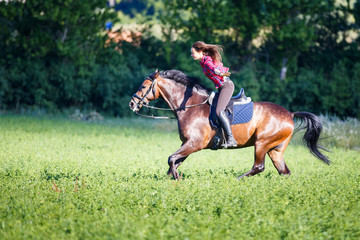 Happy young woman riding galloping horse at sunny summer day. Freedom equestrian concept image