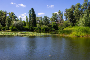 Fototapeta premium Beautiful lake on summer