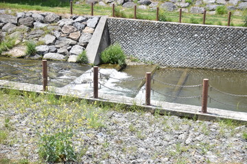 清瀬市　空堀川
