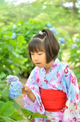 Obraz premium 浴衣の女の子（紫陽花）
