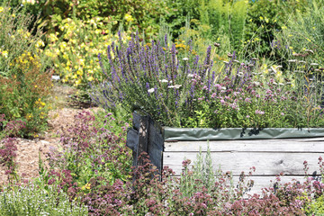Hochbeet im Kr&auml;utergarten