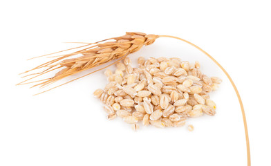 Pearl barley with spikelets