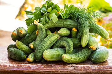 Fresh cucumber on the wooden table