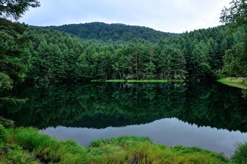 Fototapeta na wymiar 長野県　夏の御射鹿池