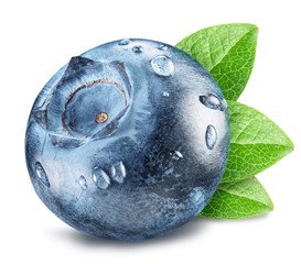 Blueberry with leaves and dewdrops. Macro shot. File contains clipping path.