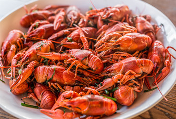 Full plate of boiled crayfishes. Top view.