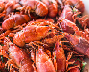 Full plate of boiled crayfishes. Top view.